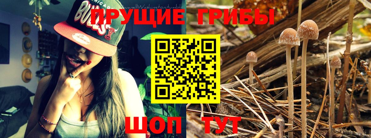 Галлюциногенные грибы мухоморы Калуга